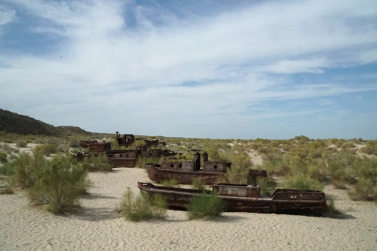 Historic boats standing among sand and vegetation at Moynaq in 2018