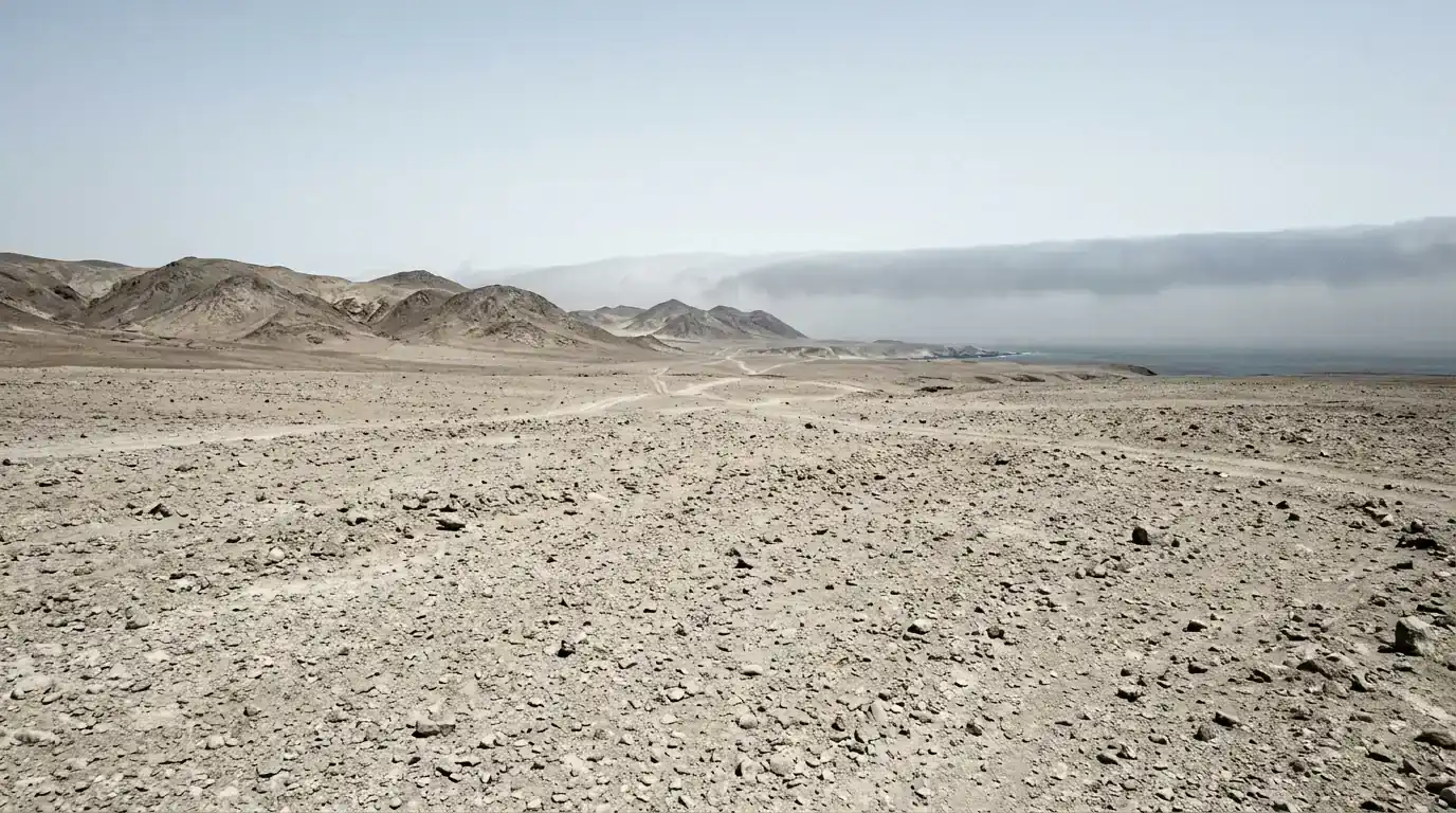 Interpretive AI-created illustration of a bare stony coastal desert plain with no vegetation at all beneath a bank of ocean fog