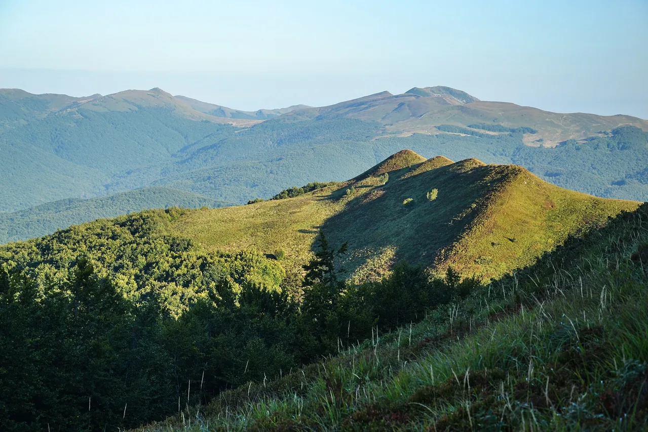 Grassy ridge and forested mountain slopes seen from Połonina Caryńska in September 2016
