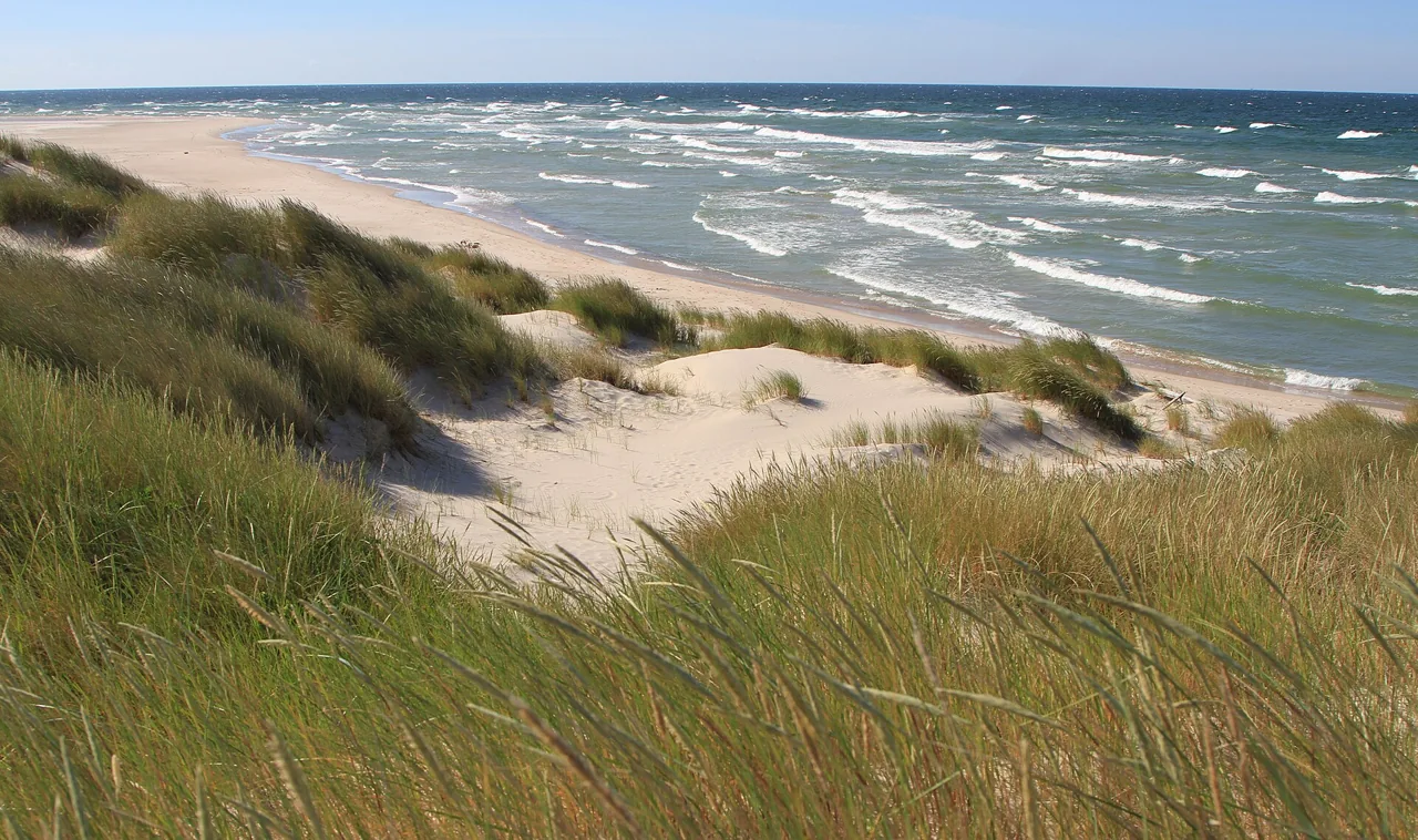 Dune grass and pale beach beside Baltic waves on Gotska Sandön in 2014