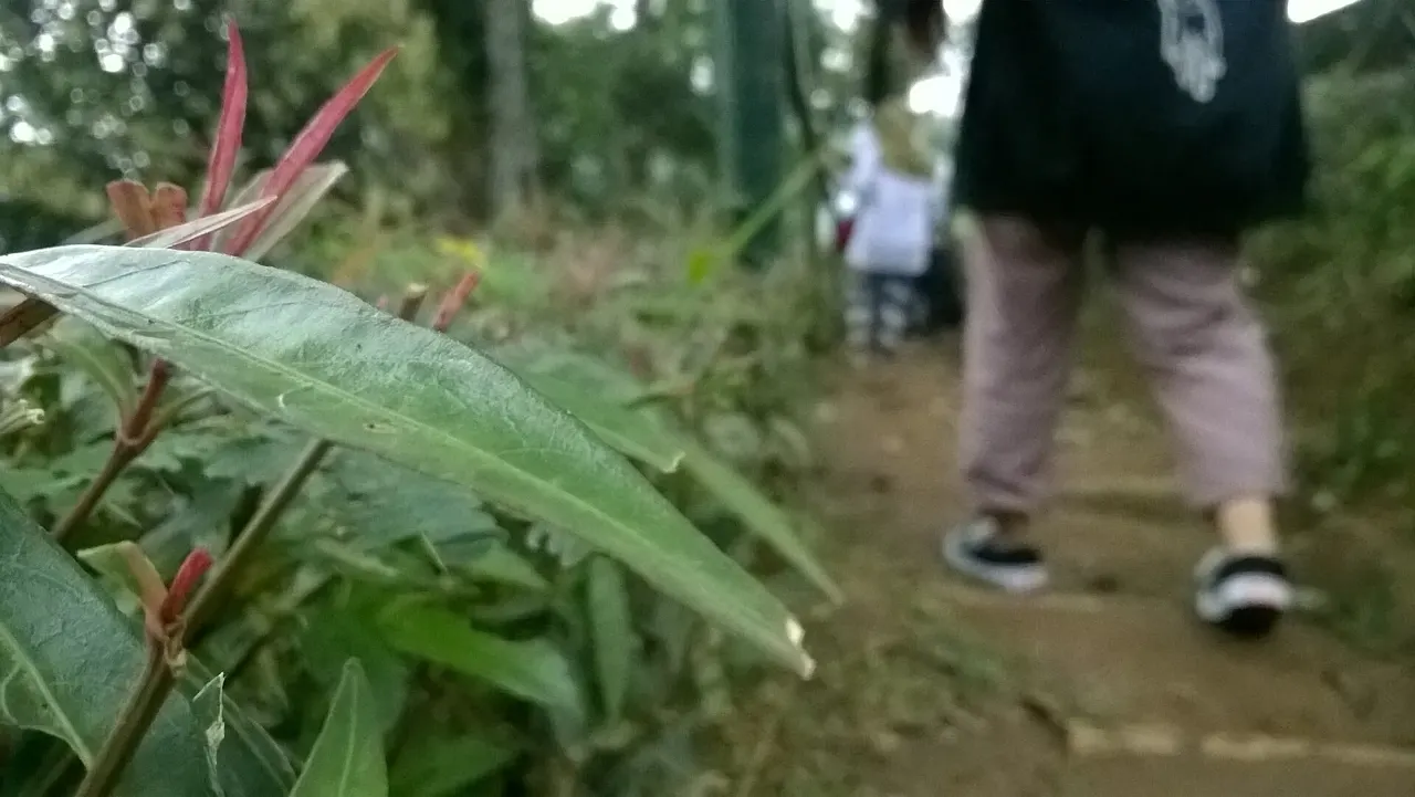 Incense and visitors on a Gunung Padang path.