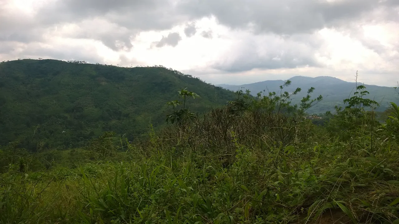 The surrounding hills seen from Gunung Padang.