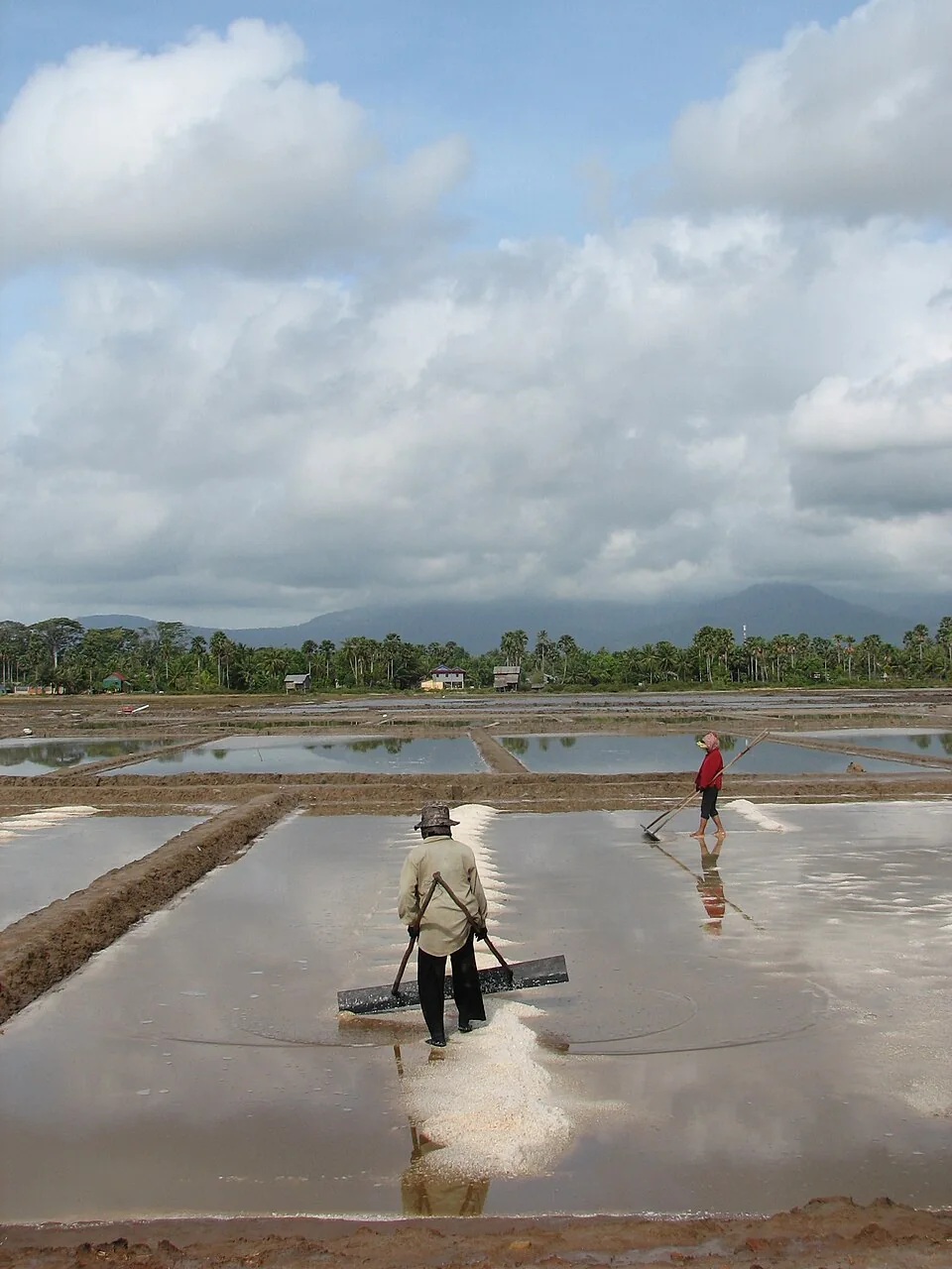 Two people working salt pans in the Kampot-Kep coastal area, March 2011