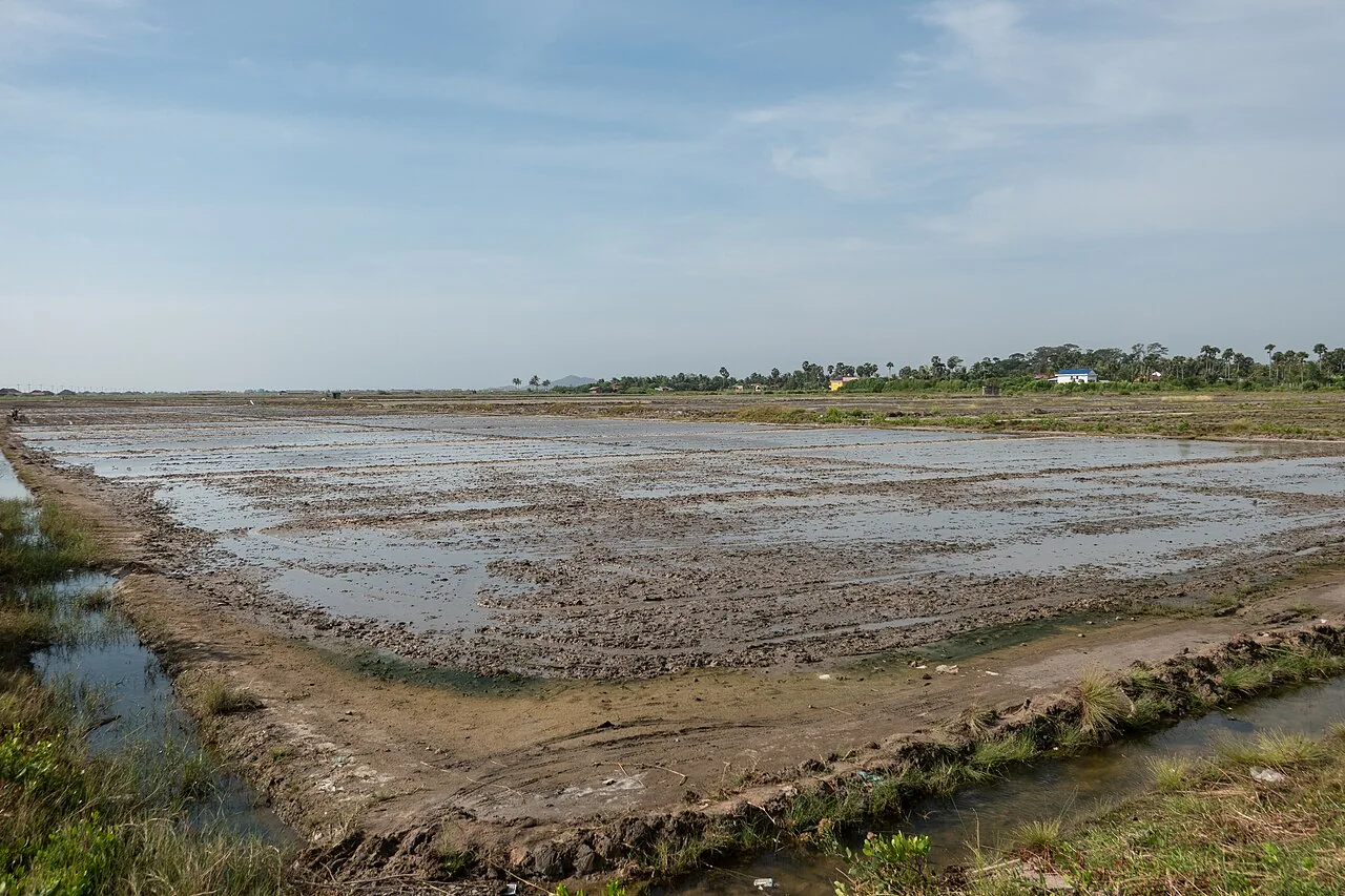 Wet earthen salt pans and channels near Kampot, December 2019