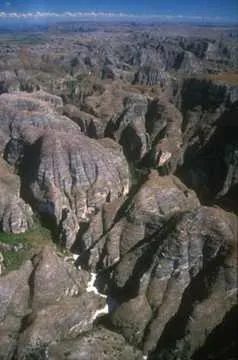 Sandstone ridges and vegetation in Makay