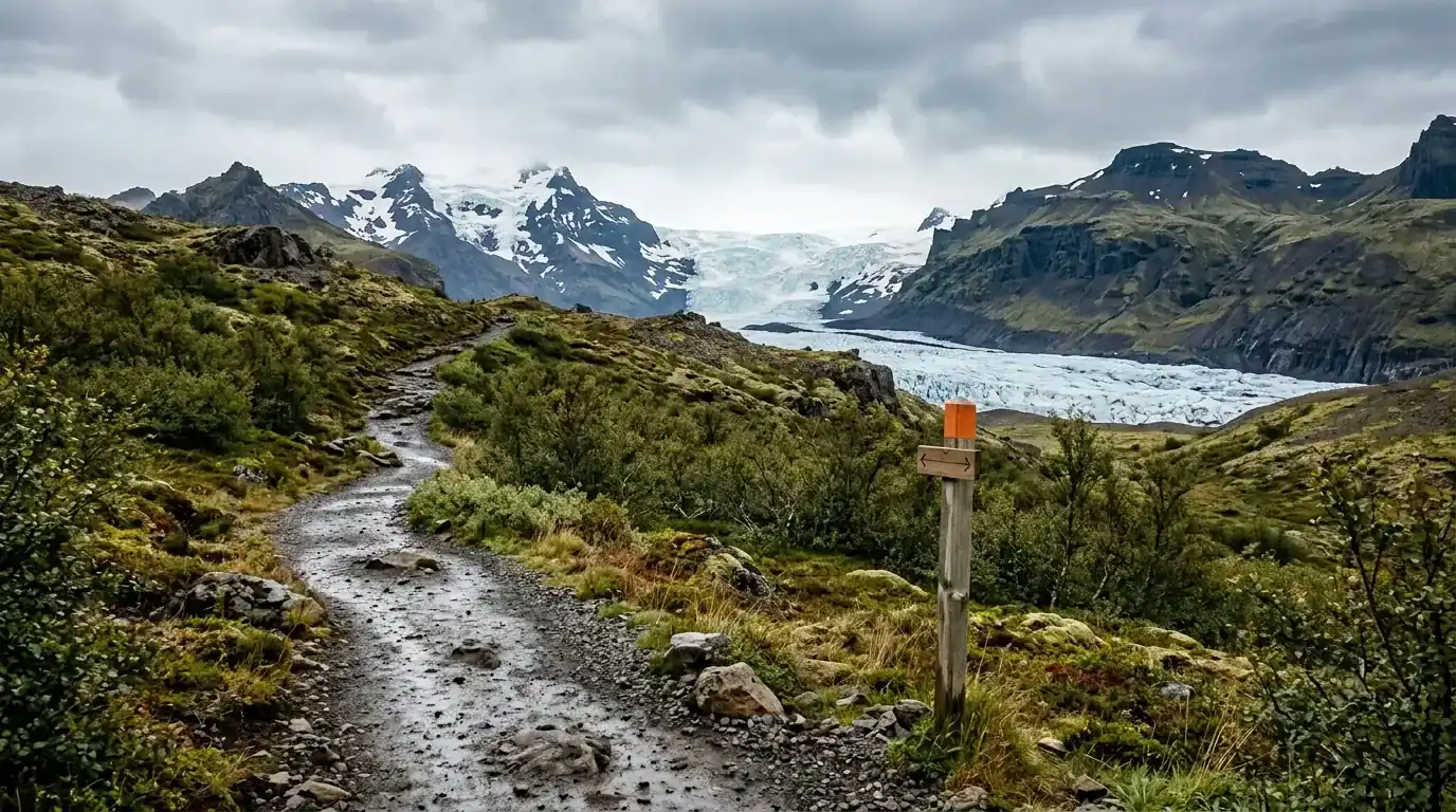 Interpretive AI-created illustration of a marked gravel walking trail climbing into low birch scrub beneath a pale glacier tongue