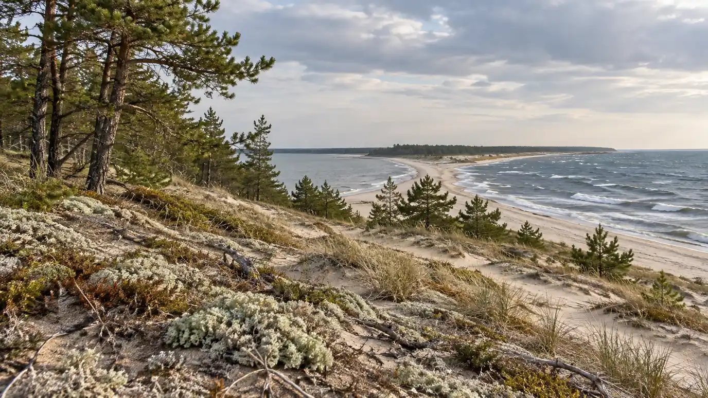 AI-created illustration: coastal woodland and a sandy Baltic shore