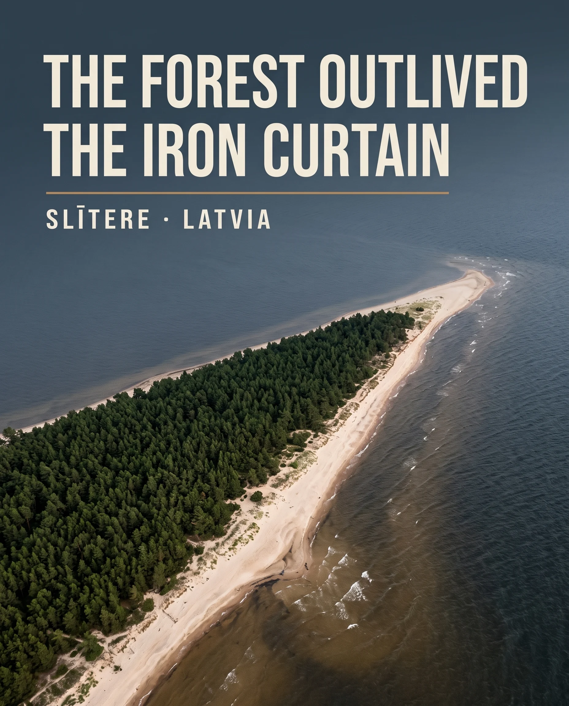AI-created editorial illustration of the real low pine forest, pale sand and meeting waters at Cape Kolka in Slītere National Park