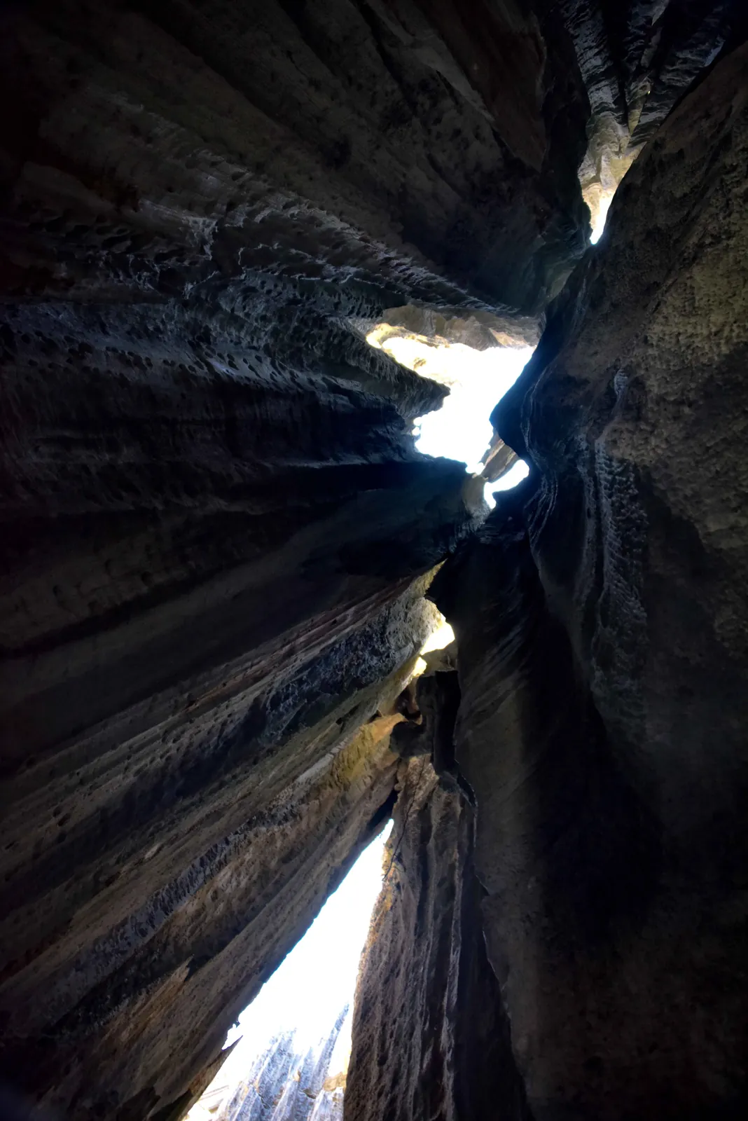 Looking upward through a narrow limestone fissure in Bemaraha