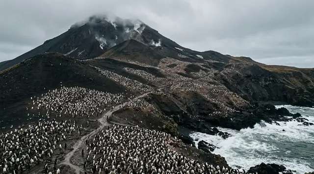 AI-created editorial illustration for the dossier on The Penguins Were Already Leaving